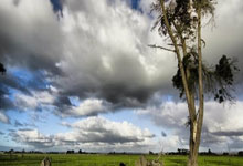 阿森纳中后场密不透风，完美守住胜局