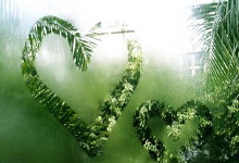 勇士主场大胜鹈鹕，士气高涨：一场不可错过的激动人心的比赛